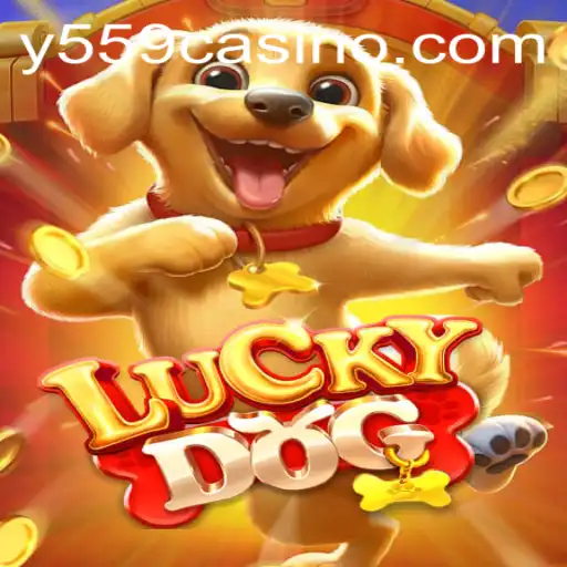 Explorando o Mundo Empolgante de LuckyDog
